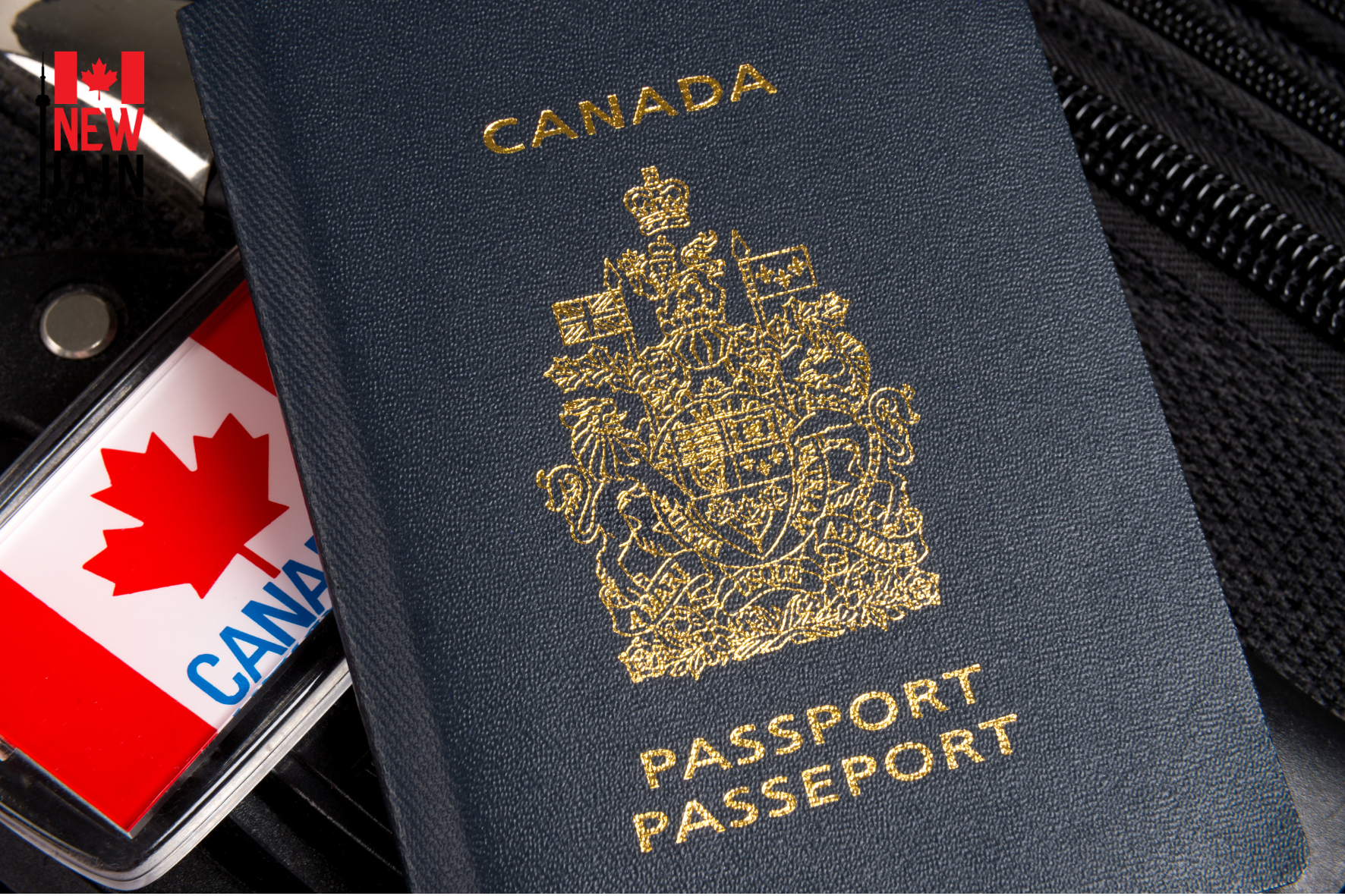 Best Immigration Consultant Mississauga (2026): Your Ultimate Guide to PR, Work Permit & Study Visas